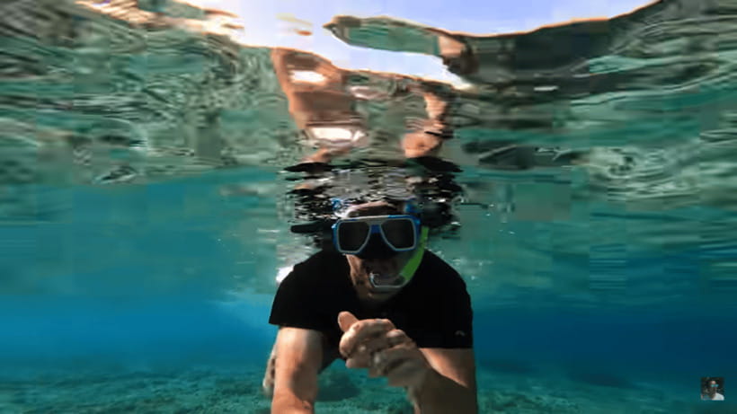 Cebu: Oslob Whale Shark and Moalboal Snorkeling Tour - Is $122 good value?