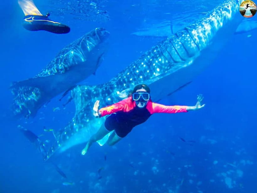 Cebu: Oslob Whale Shark Experience & Kawasan Canyoneering - Why this Cebu day trip packs in so much