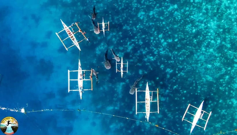 Cebu: Oslob Whale Shark Experience & Kawasan Canyoneering - Lunch and the change of pace in Badian