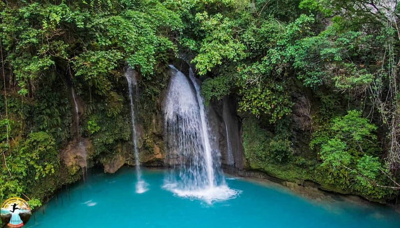 Cebu: Oslob Whale Shark Experience & Kawasan Canyoneering - Who should book this adventure