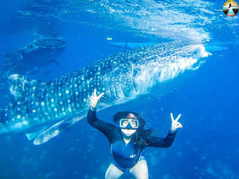 Cebu: Oslob Whale Shark Experience & Kawasan Canyoneering - Starting early on Cebu’s East Coast