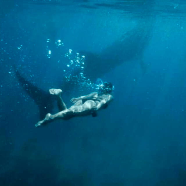 Cebu: Oslob Whale Shark, Sumilon, Ruins, Simala Church - Why this Cebu day trip packs in so much