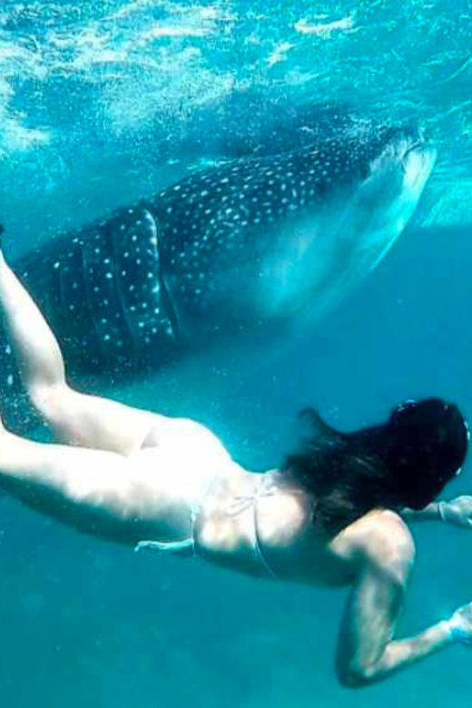 Cebu: Oslob Whale Shark, Sumilon, Ruins, Simala Church - Simala Shrine offers the quietest pause