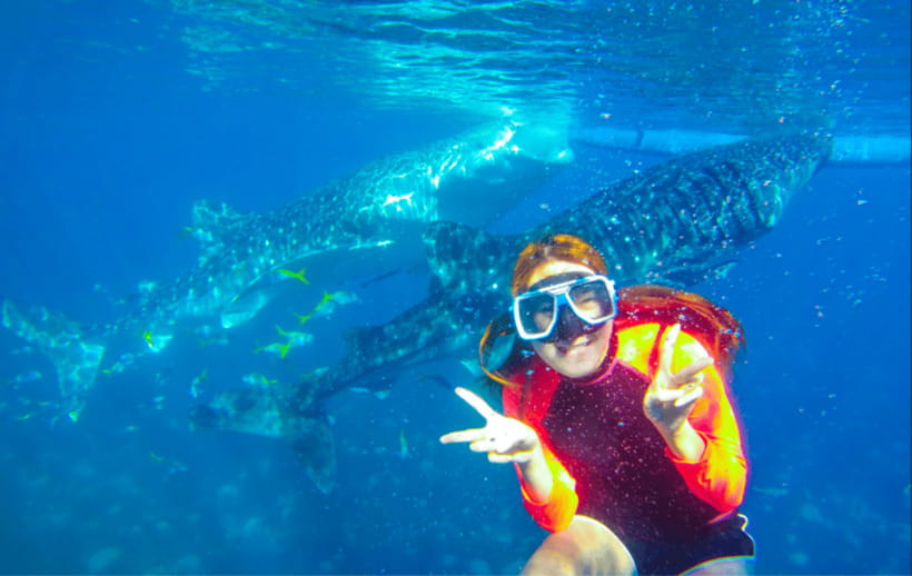 Cebu: Oslob Whale Shark Swimming and Tumalog Falls Tour - What to Pack for This Long Cebu Day