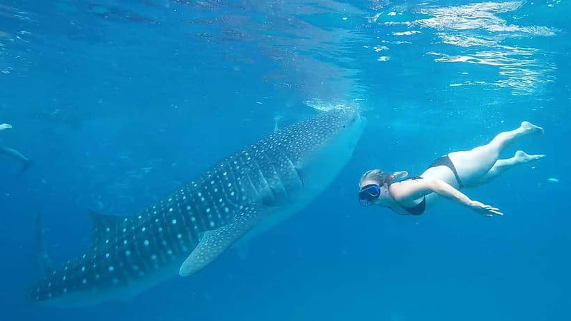 Cebu:Oslob Whale Shark Swimming & Kawasan Falls Canyoneering - The road to Badian and the start of canyoneering