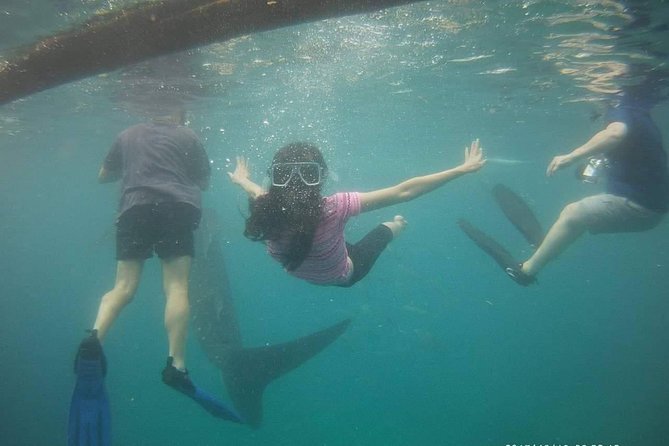 Cebu Oslob Whale Sharks and Sumilon Island Kawasan Falls Canyoneering - Tumalog Falls and its aqua-blue water