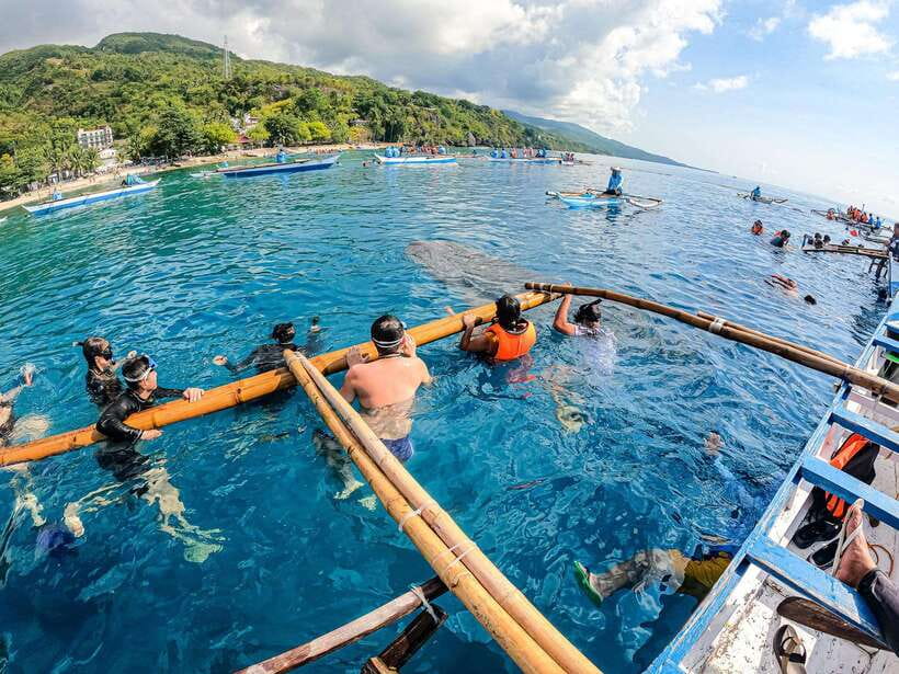 Cebu: Oslob Whale Sharks, Moalboal Sardine Run & Turtles - The pre-dawn ride from Cebu to Oslob