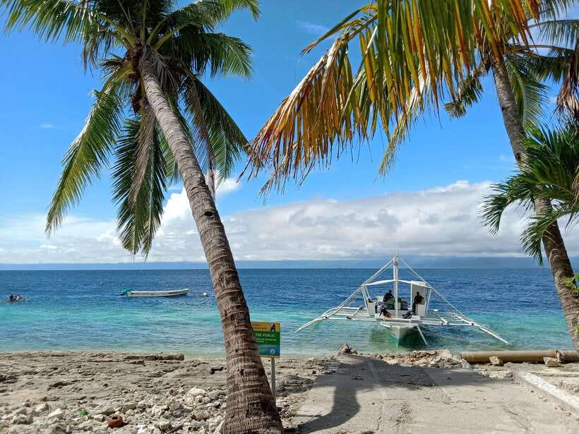 Cebu: Oslob Whale Sharks, Moalboal Sardine Run & Turtles - Lunch comes later, so plan your appetite