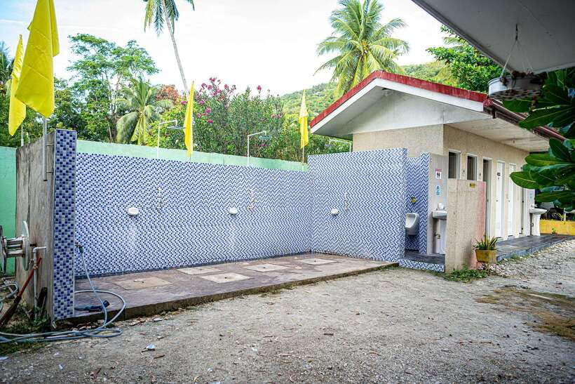 Cebu: Oslob Whale Sharks, Moalboal Sardine Run & Turtles - Small details that improve the day