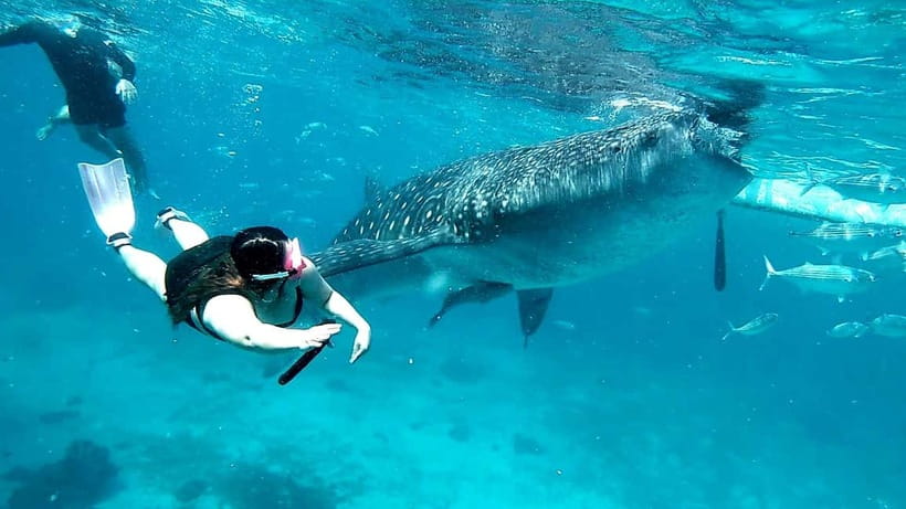 Cebu: Oslob Whale Sharks, Tumalog Falls & Sardine Snorkeling - Tumalog Falls after the ocean