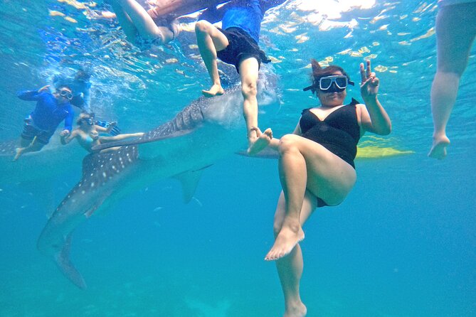 Cebu Oslob Whaleshark and Sumilon Island Full-Day Private Tour - How the guides shape the day
