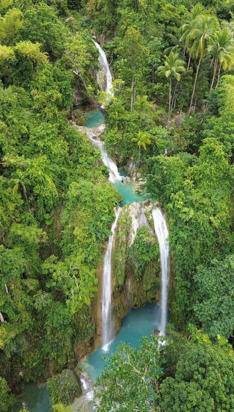 Cebu Oslob Whaleshark, Moalboal Sardines Run&Inambakan Falls - Key points to know before booking