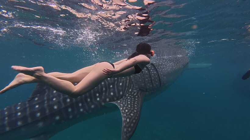 Cebu Oslob Whaleshark, Moalboal Sardines Run&Inambakan Falls - Inambakan Falls for a short freshwater break