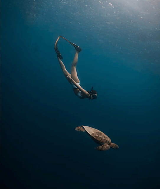 Cebu Oslob Whaleshark, Moalboal Sardines Run&Inambakan Falls - Guide support can shape the whole day