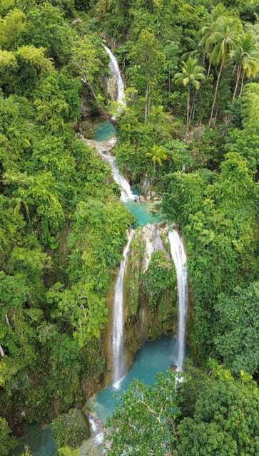 Cebu Oslob Whaleshark, Moalboal Sardines Run&Inambakan Falls - Who should book this Cebu combination?