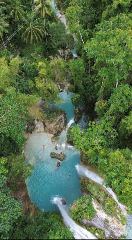 Cebu Oslob Whaleshark, Moalboal Sardines Run&Inambakan Falls - Oslob whale sharks and the ethical question
