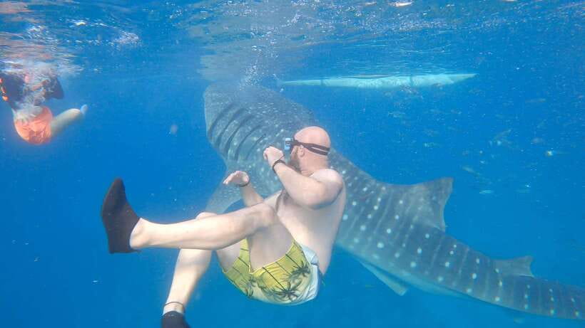 Cebu: Oslob Whaleshark & Sardines Run Snorkeling Day Tour - Swimming with whale sharks in Oslob