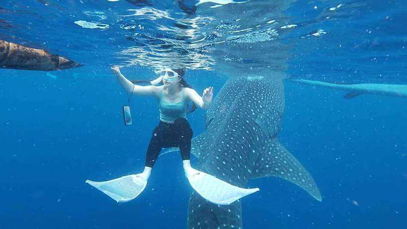 Cebu: Oslob Whaleshark & Sardines Run Snorkeling Day Tour - The long transfer to Moalboal