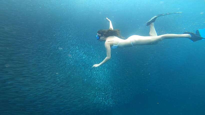 Cebu: Oslob Whaleshark & Sardines Run Snorkeling Day Tour - What is included, and what you still need