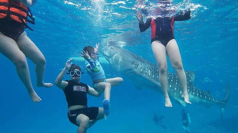 Cebu: Oslob Whaleshark Watching Day Tour - Why the $108 price can make sense