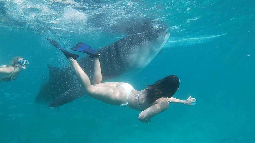Cebu: Oslob Whaleshark Watching Day Tour - The waiting problem at Oslob