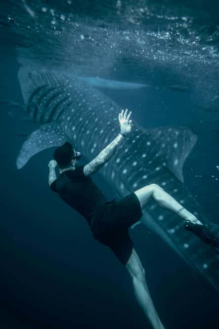 Cebu:Oslob WhaleSharkWatching,Kawasan Canyoneering - Key points to know before booking