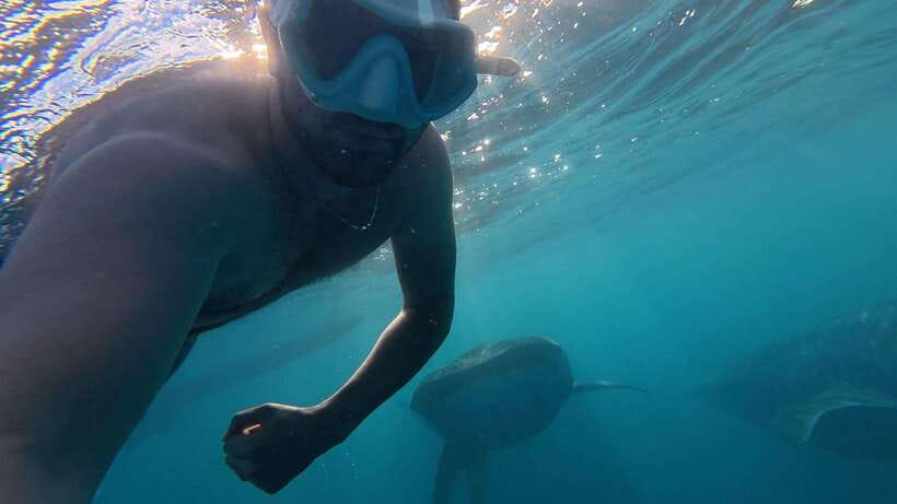 Cebu:Oslob WhaleSharkWatching,Kawasan Canyoneering - Oslob whale shark watching before the heat arrives