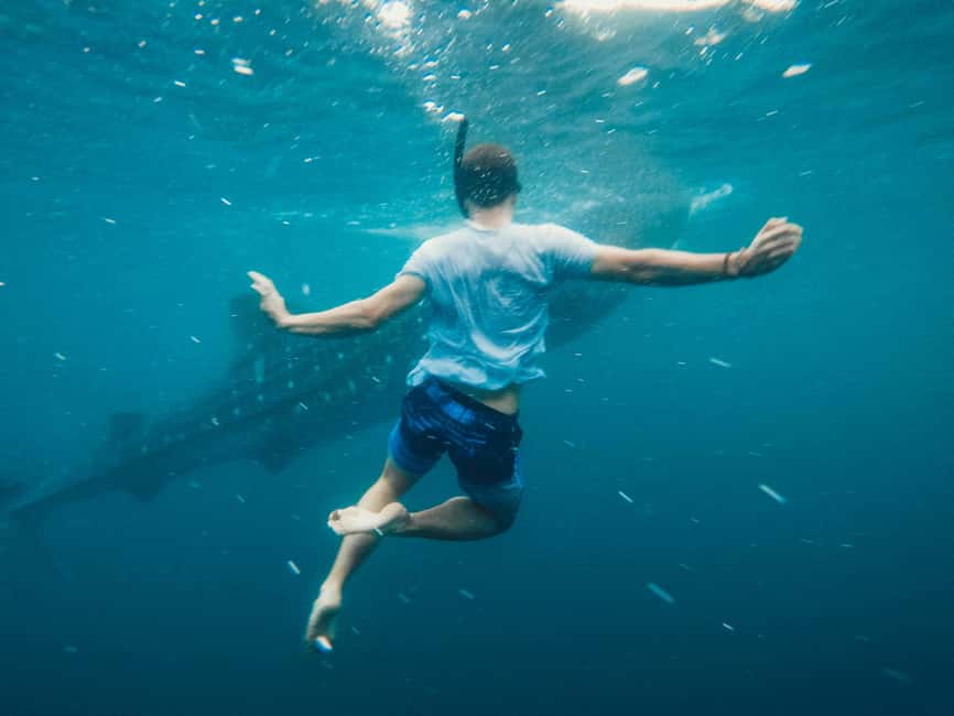 Cebu:Oslob WhaleSharkWatching,Kawasan Canyoneering - The long road from Oslob to Badian