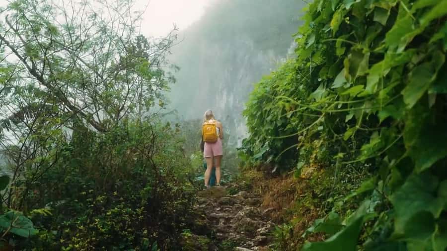 Cebu: Osmeña Peak and Kawasan Canyoneering Day Tour - Who should book this Cebu adventure?