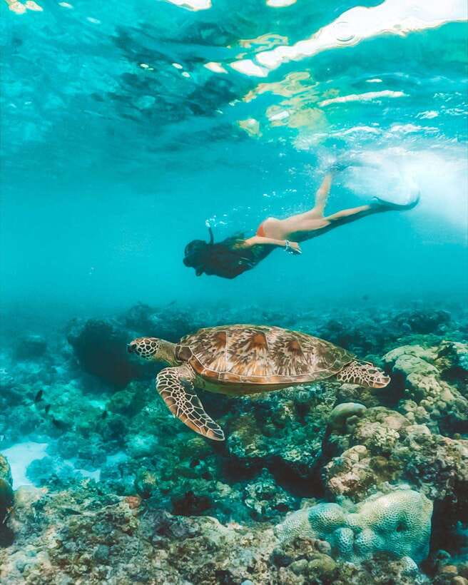 Cebu: Osmeña Peak hike and Sardines Run Snorkel adventure - The short walk to Cebu’s highest point