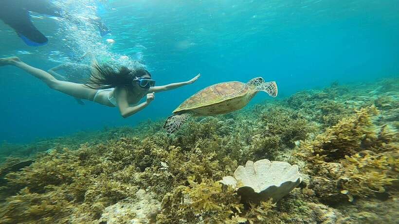 Cebu: Osmeña Peak hike and Sardines Run Snorkel adventure - Is $92 a fair price?