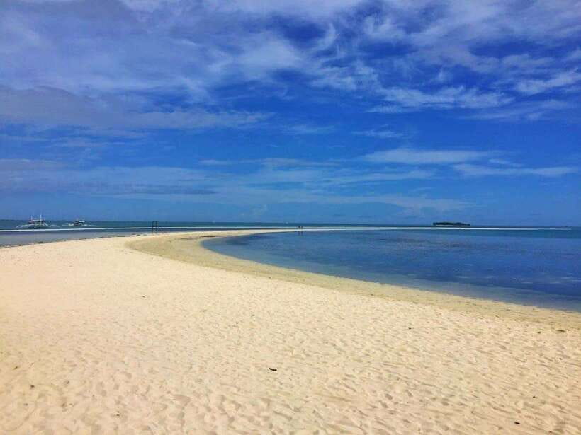 Cebu: Pamilacan, Virgin Island, Dolphin Watching with Lunch - Dolphin, turtle, and possible whale watching