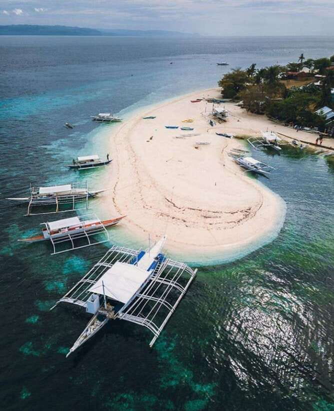 Cebu: Pamilacan, Virgin Island, Dolphin Watching with Lunch