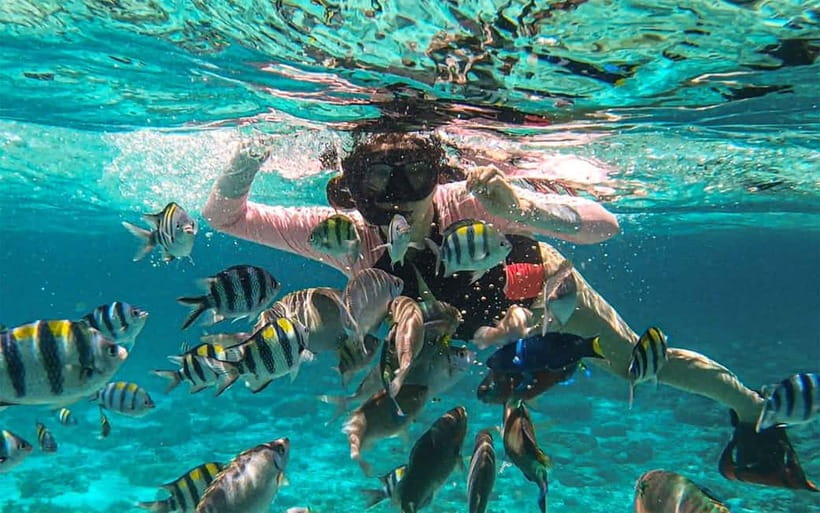 Cebu: Private Mactan Island Hopping Tour with Lunch - What the $100 price really buys you