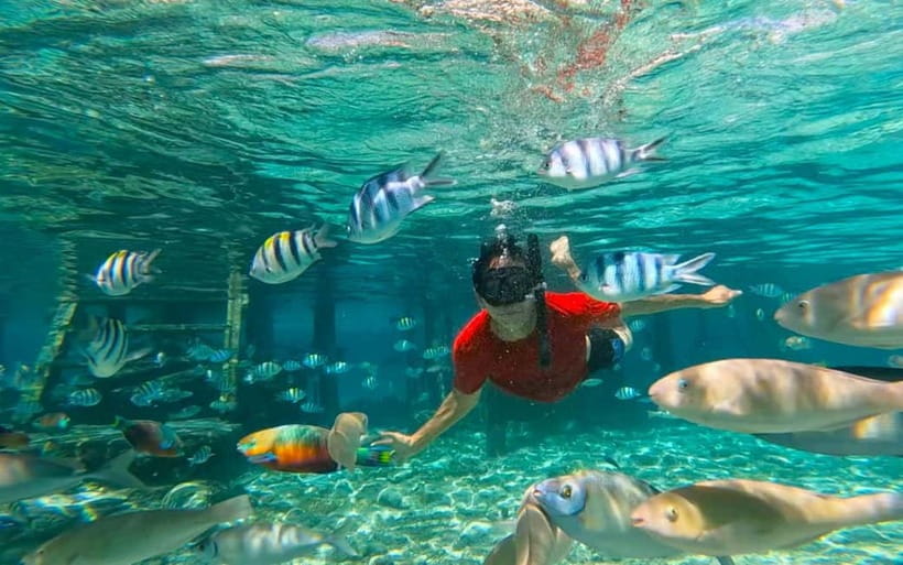 Cebu: Private Mactan Island Hopping Tour with Lunch - Gilutungan Island and its protected reef