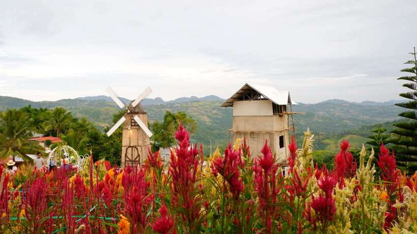 Cebu: Private Panoramic Tour with Dinner - What makes this Cebu evening tour worth considering