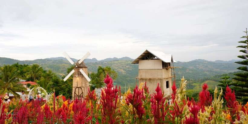 Cebu: Private Panoramic Tour with Dinner - Why the guide can make the difference