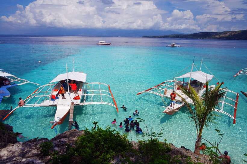 Cebu: Private Sumilon Island & Optional Whale Shark Swim - Key points to know before booking