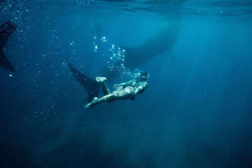 Cebu: Private Sumilon Island & Optional Whale Shark Swim - The resort upgrade on Sumilon Island