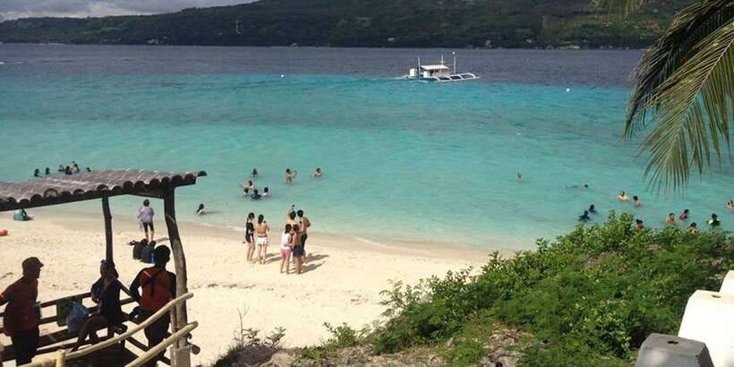 Cebu: Private Sumilon Island & Optional Whale Shark Swim - Who should book this Cebu day trip?