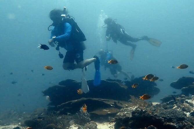 Cebu Private Tour 3 Islands Hopping Gilutungan Caohagan Nalusuan - Snorkeling gear, timing, and comfort