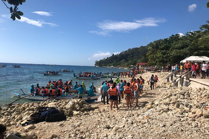 Cebu: Private Tour- Osmena Peak+Oslob Whaleshark+Tumalog Falls - Oslob Whale Sharks At About 7:30 am