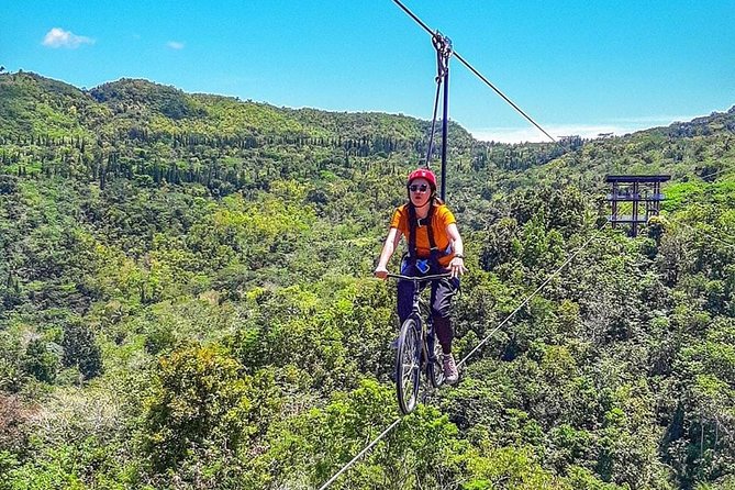 Cebu Safari Adventure - African Savanna: the park’s main animal area