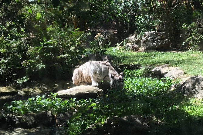 Cebu Safari and Adventure Park - Key details before you book