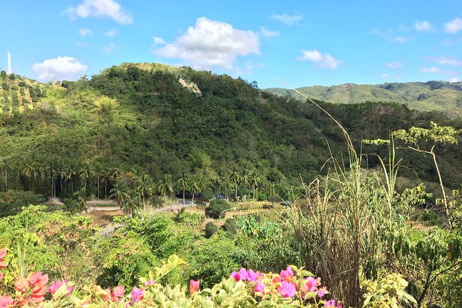 Cebu Safari and Adventure Park - Why Cebu Safari and Adventure Park takes a full day