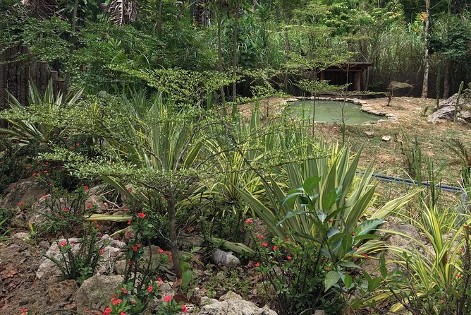 Cebu Safari and Adventure Park - Catching the bird show