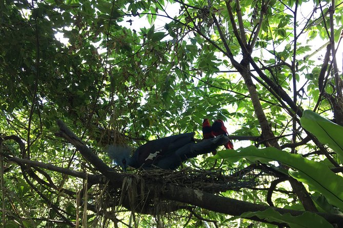 Cebu Safari and Adventure Park - Getting there by private Cebu transport