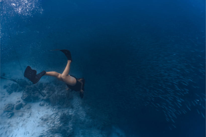 Cebu: Sardine & Turtle Snorkelling Run & Mantayupan Falls - Seafood lunch by the water