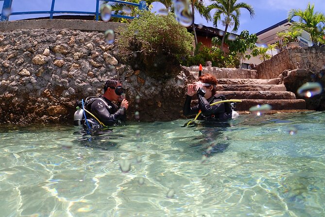 Cebu: Scuba Diving Experience beach entry in Mactan - Key points to know before booking