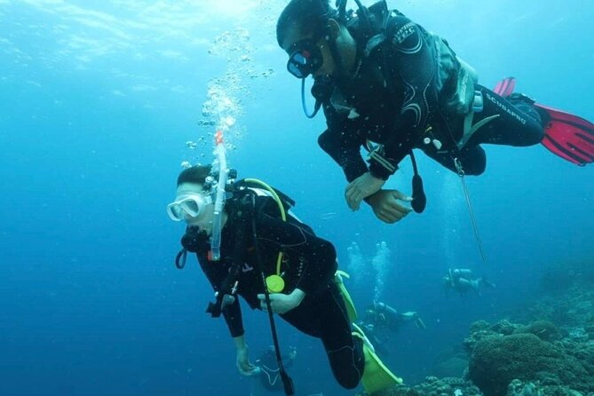 Cebu: Scuba Diving Experience beach entry in Mactan - One-meter practice before going farther